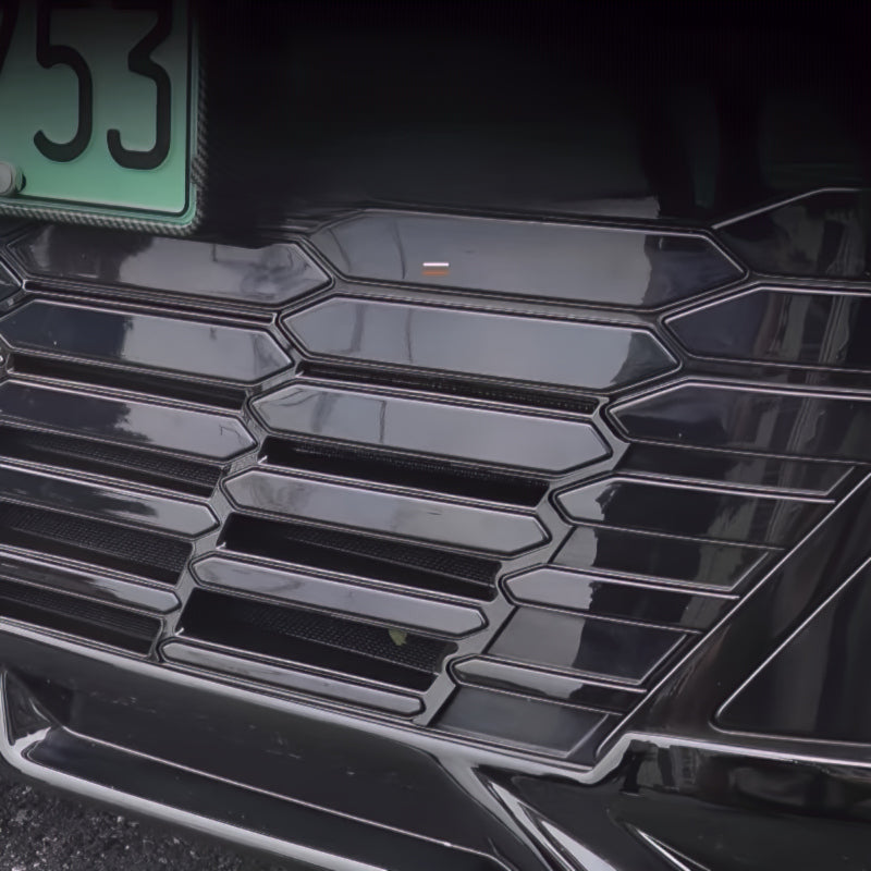 Xpeng X9  Front Lower Bumper Insect Proof Net