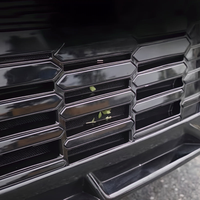 Xpeng X9  Front Lower Bumper Insect Proof Net